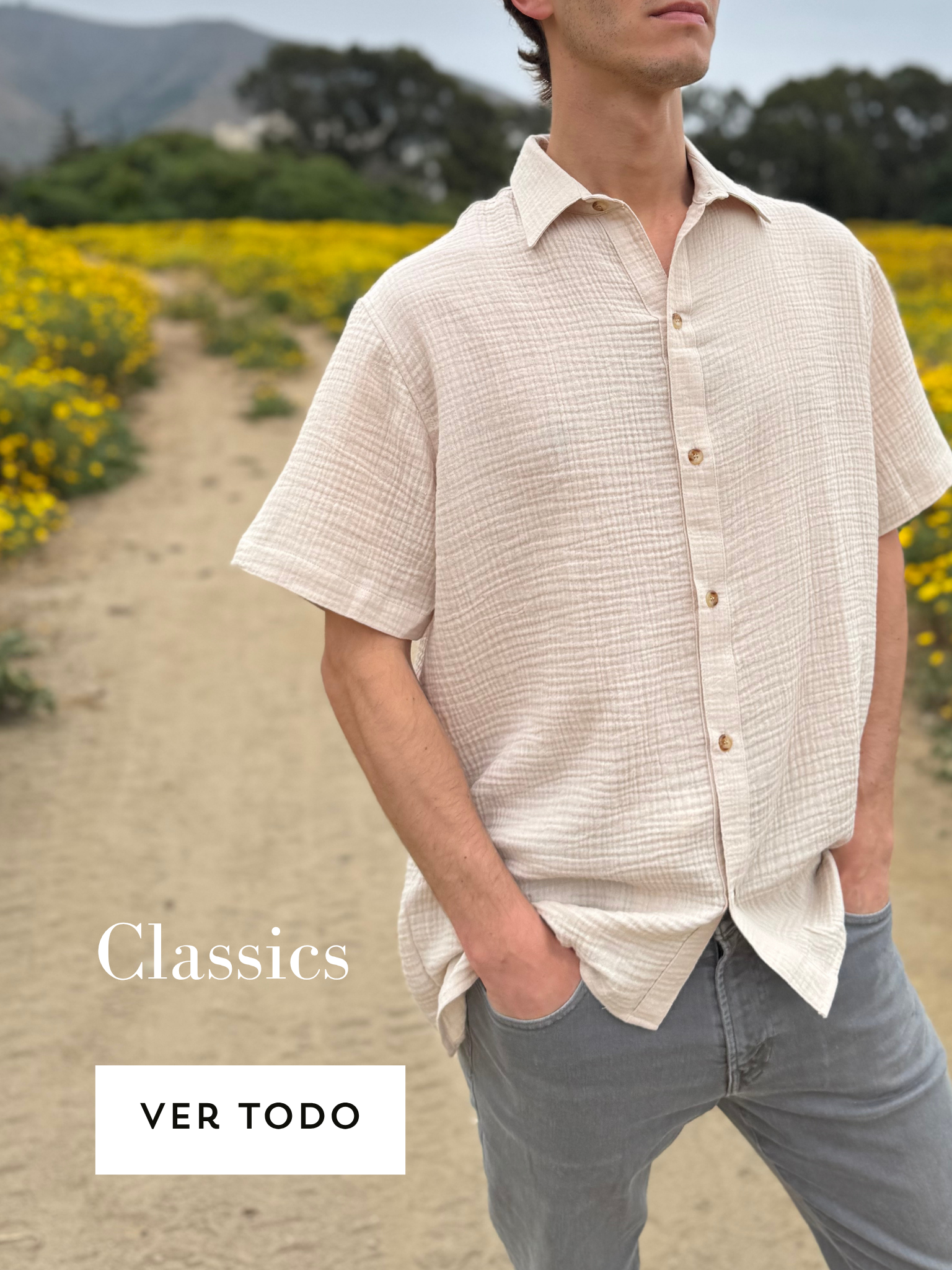 Camisas Classics