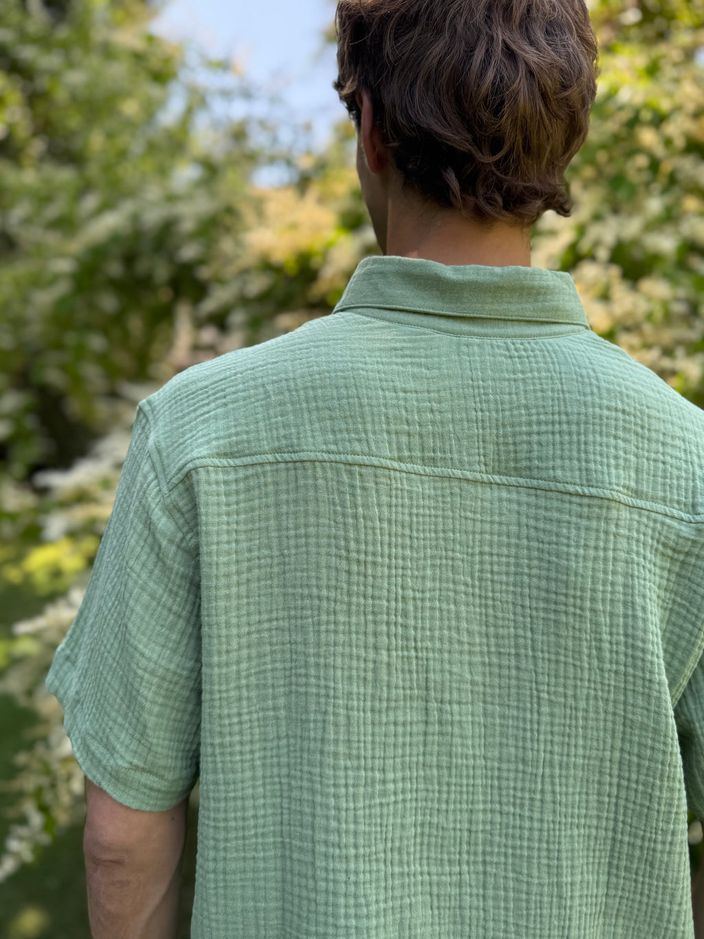 Camisa Salvia