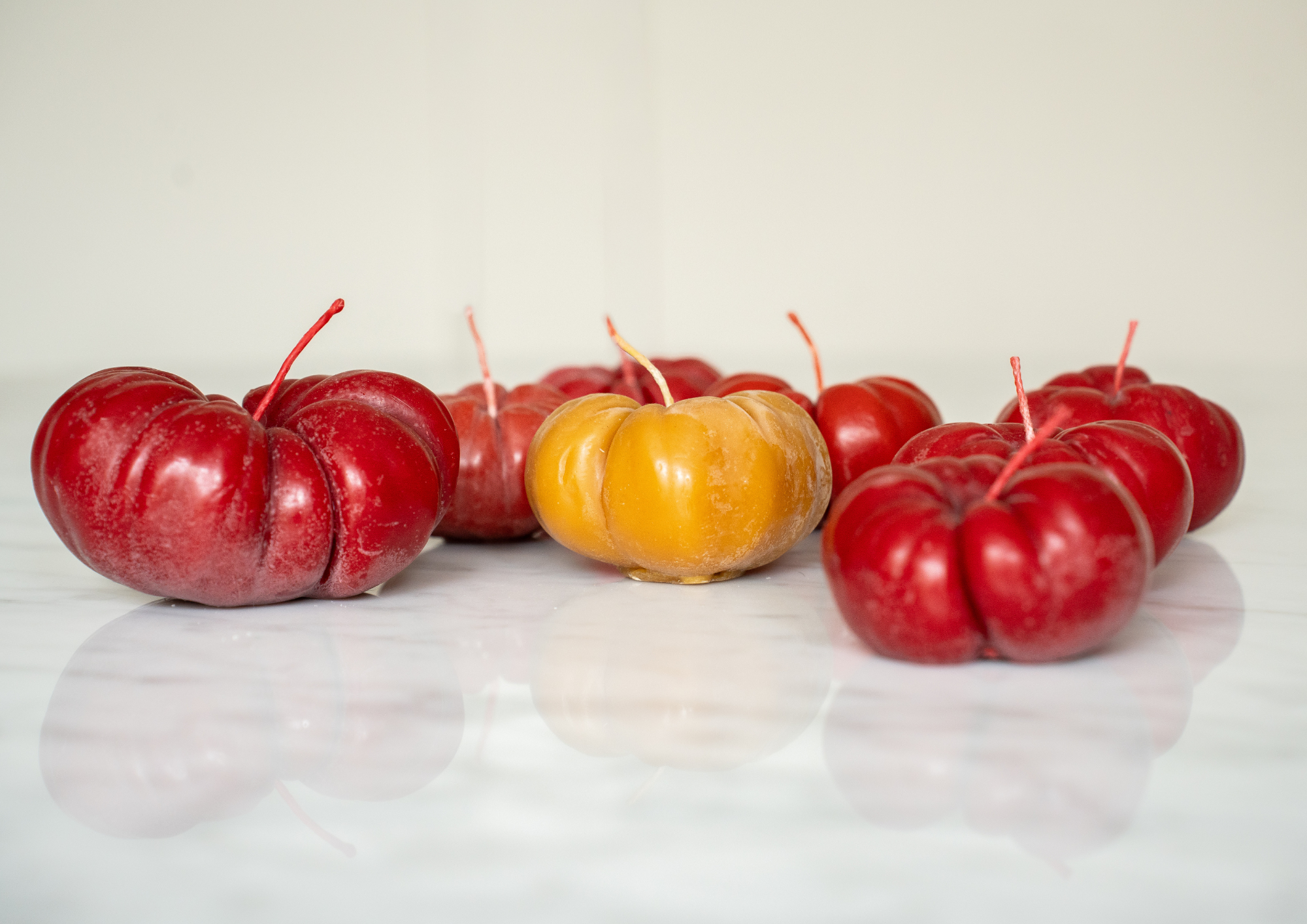 Pack 3 Tomates