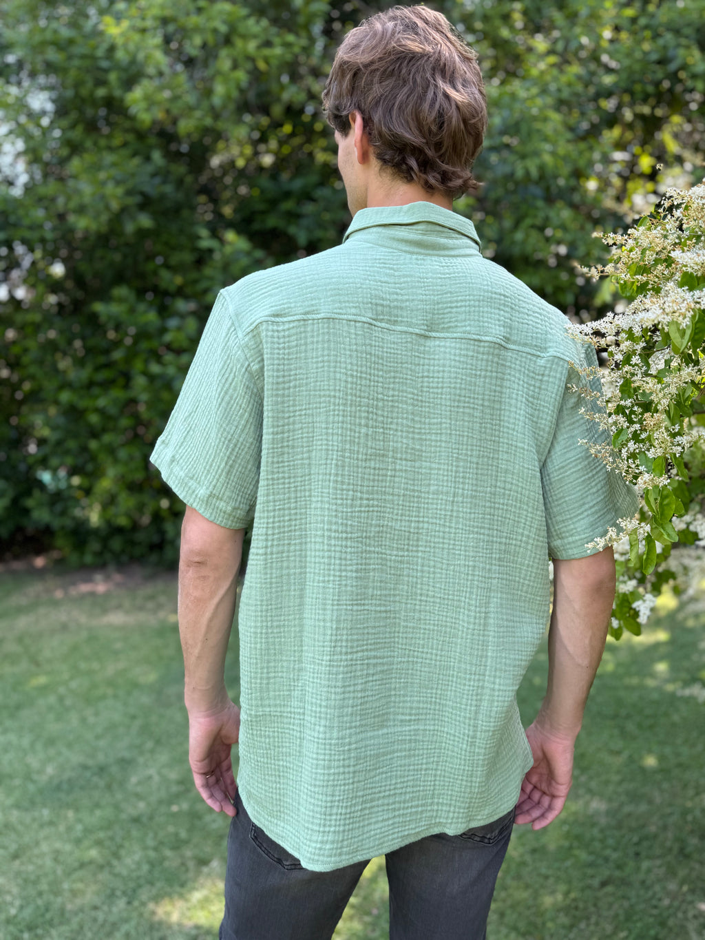 Camisa Salvia