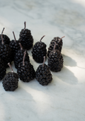 Pack 12 Moras