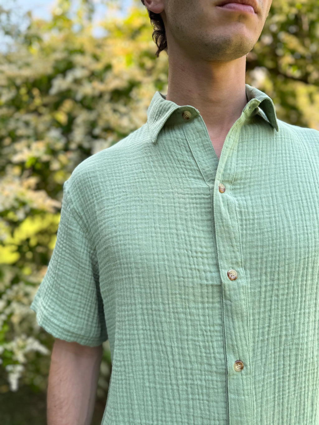 Camisa Salvia